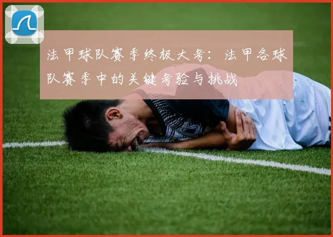 法甲球队赛季终极大考：法甲各球队赛季中的关键考验与挑战