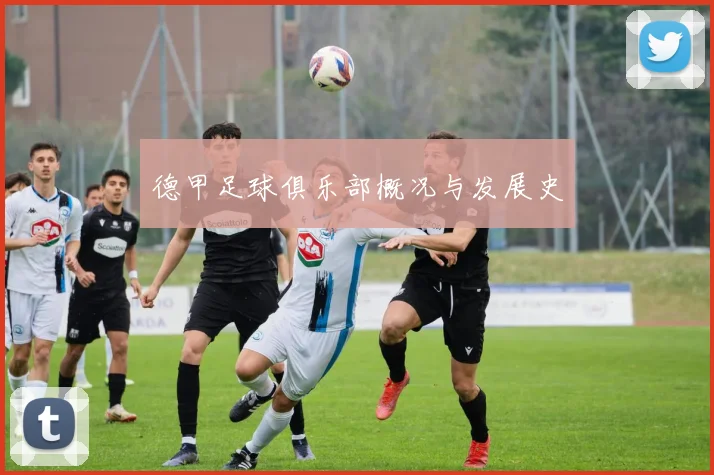 德甲足球俱乐部概况与发展史