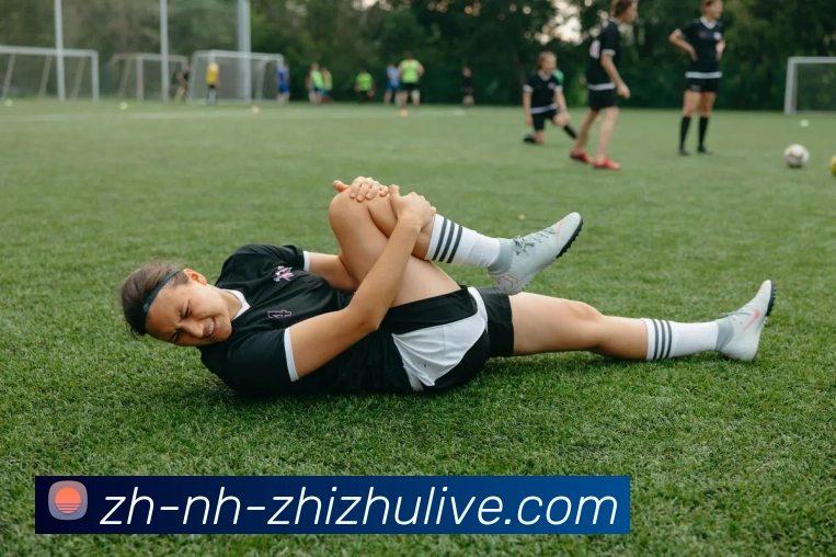 蜘蛛直播平台生态图