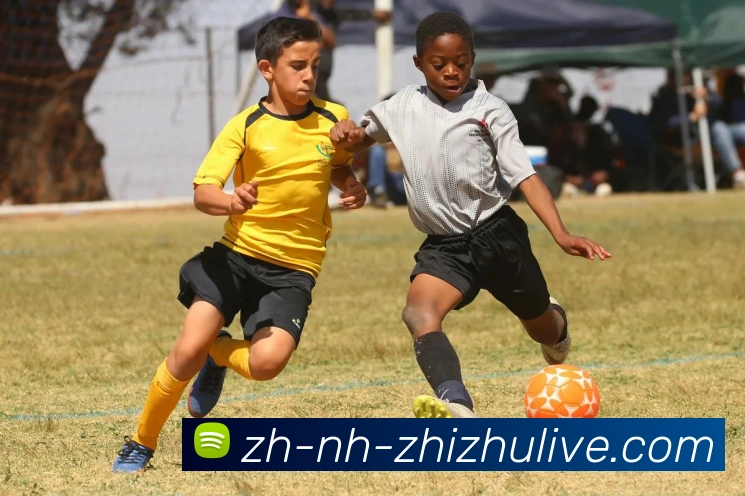 蜘蛛直播全站App 蜘蛛直播全站App